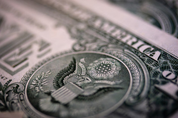 cash paper banknote closeup dollar