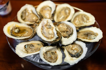 Oysters