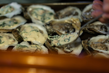 Oysters