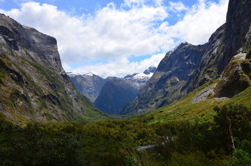Fjordland Milford Sound Neuseeland S&uuml;dinsel