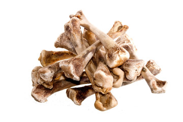 bone isolated on white background