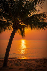 Fototapeta na wymiar Sunset at Vietnamese Beach