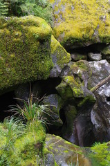 Fjordland Milford Sound Neuseeland S&uuml;dinsel