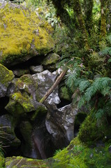 Fjordland Milford Sound Neuseeland S&uuml;dinsel