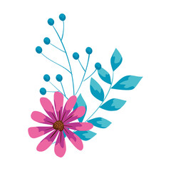 Obraz na płótnie Canvas cute flower with branches and leafs vector illustration design