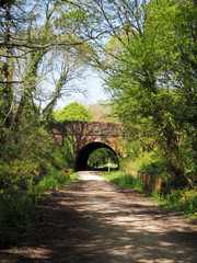  old railway tunnel on a cycle path in the Spring
