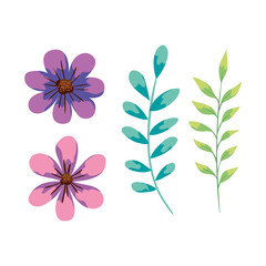cute flowers with branches and leafs vector illustration design