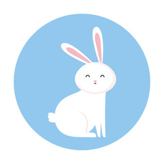cute rabbit animal in frame circular vector illustration design