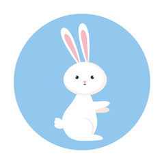 cute rabbit animal in frame circular vector illustration design