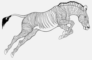 Striped stallion overcomes an obstacle. Zebra at the beginning of the jump. Linear vector illustration for safari and wildlife tourism.