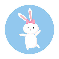 Obraz na płótnie Canvas cute rabbit female animal in frame circular vector illustration design