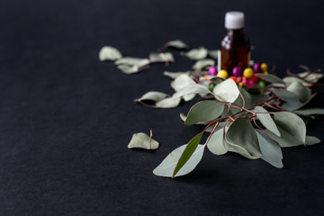 Natural eucalyptus essential oil for herbal medicine with organic eucalyptus leaves on black background.