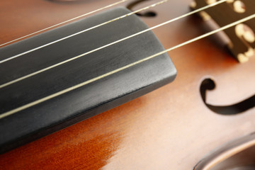 Beautiful classic violin, closeup view. Musical instrument