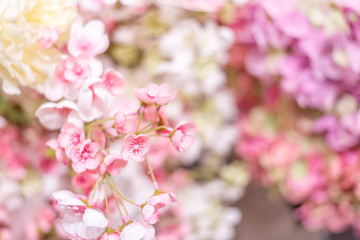 Floral background. A wall with delicate pink flowers