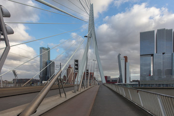 Fototapeta premium Rotterdam cityscape