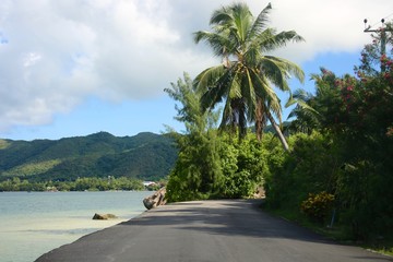 Fototapeta premium plage de Praslin - Seychelles
