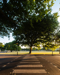 Fototapeta premium a zebra crossing on an english road