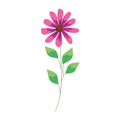 Obraz na płótnie Canvas cute flower with branch and leafs vector illustration design