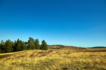 landscape steppe and wooded mountains.