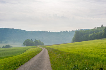 Peaceful landscape with green meadows.