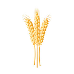 Wheat spike ear. Vector illustration cartoon flat icon isolated on white.