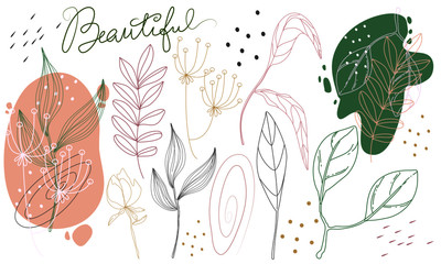 Set of floral elements lineart style for web or your design vector isolated