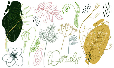 Set of floral elements lineart style for web or your design vector isolated