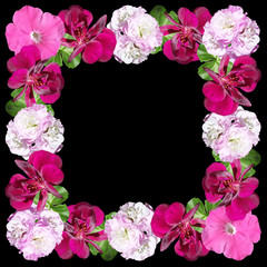 Beautiful floral pattern of pelargonium and petunia. Isolated