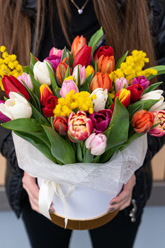 Spring flowers banner - bunch of multi color tulips flowers box woman hold in hands. Easter day mock up greeting card. Tulip Congratulation or Invitation card with free space for text. 