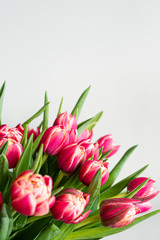 Spring flowers banner - bunch of rose tulips flowers on white, grey background. Easter day mock up greeting card. Congratulation or Invitation card with free space for text. 