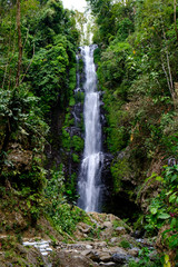 Bali Wasserfall