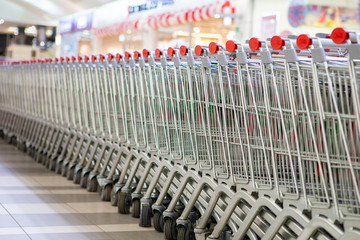 An equal number of shopping carts standing in the store.