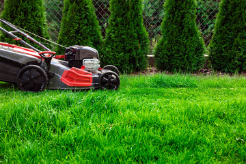 Fototapeta na wymiar Lawn mower cutting green grass in backyard, mowing lawn