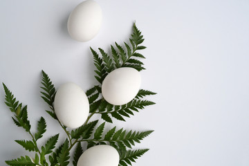 Fototapeta na wymiar Easter card with eggs and fern on a white background