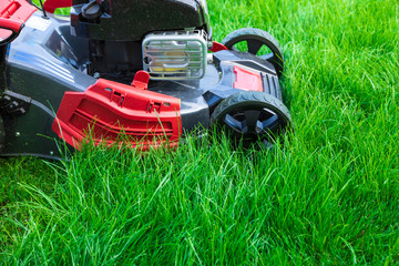 Fototapeta premium Lawn mower cutting green grass in backyard, mowing lawn