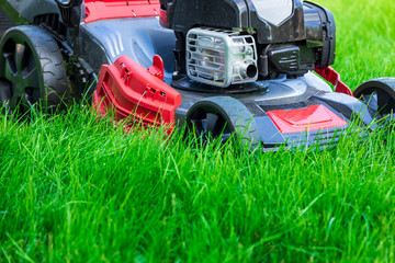 Lawn mower cutting green grass in backyard, mowing lawn