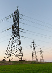 High voltage lines and power poles and green agricultural landscape during sunrise.