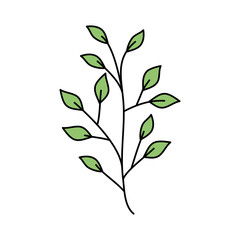 branch with leafs nature ecology isolated icon vector illustration design