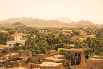 Arabian architecture among green palm oasis in Oman