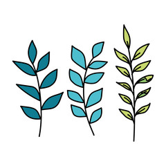 branch with leafs nature ecology isolated icon vector illustration design