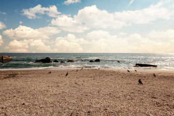 Odessa, Ukraine. . View of one of the most beatuful sandy beach of the Black sea coast