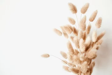 Fotobehang Fluffy tan pom pom plants bouquet on white background. Minimal floral holiday composition. © Floral Deco