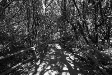 La Gomera Kanaren im März