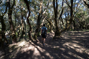 La Gomera Kanaren im März