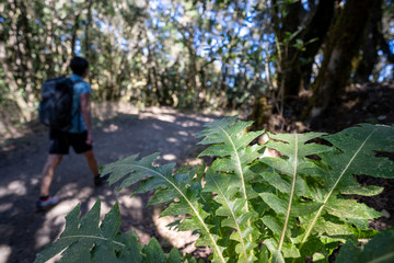 La Gomera Kanaren im März