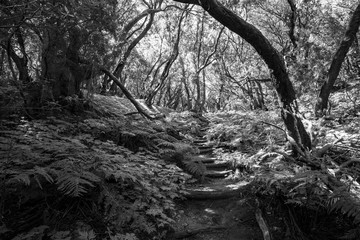 La Gomera Kanaren im März
