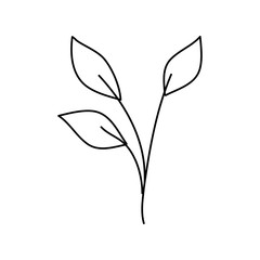 branch with leafs nature ecology isolated icon vector illustration design