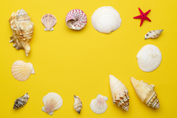Summer sale. White seashells, red starfish in shape frame isolated on yellow background. Hello Summer is coming concept