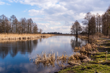 Fototapeta premium Kanał Augustowski w Dębowie. Biebrzański Park Narodowy, Podlasie, Polska 