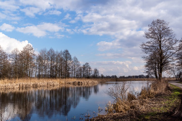 Kanał Augustowski w Dębowie. Biebrzański Park Narodowy, Podlasie, Polska 